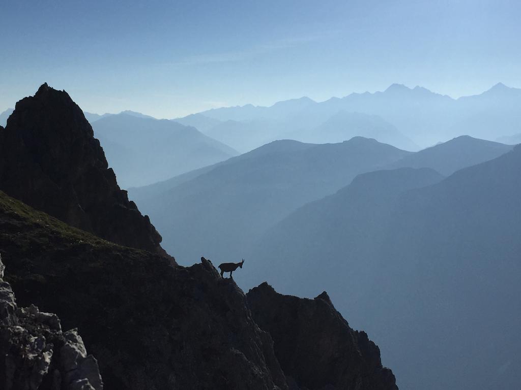 Alpenhaus Monte Hotel Neustift im Stubaital Ngoại thất bức ảnh